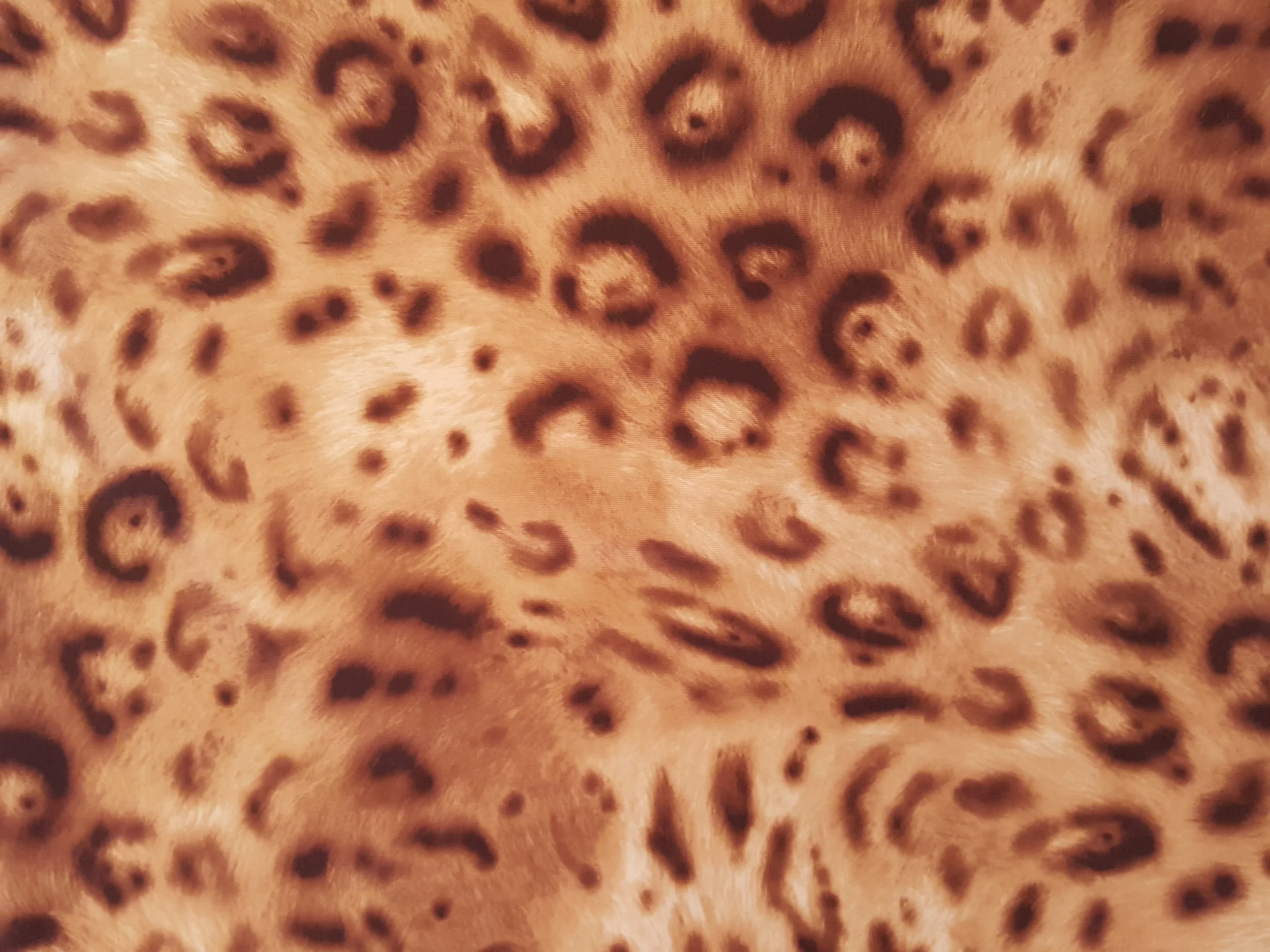 20180814_143648.jpg