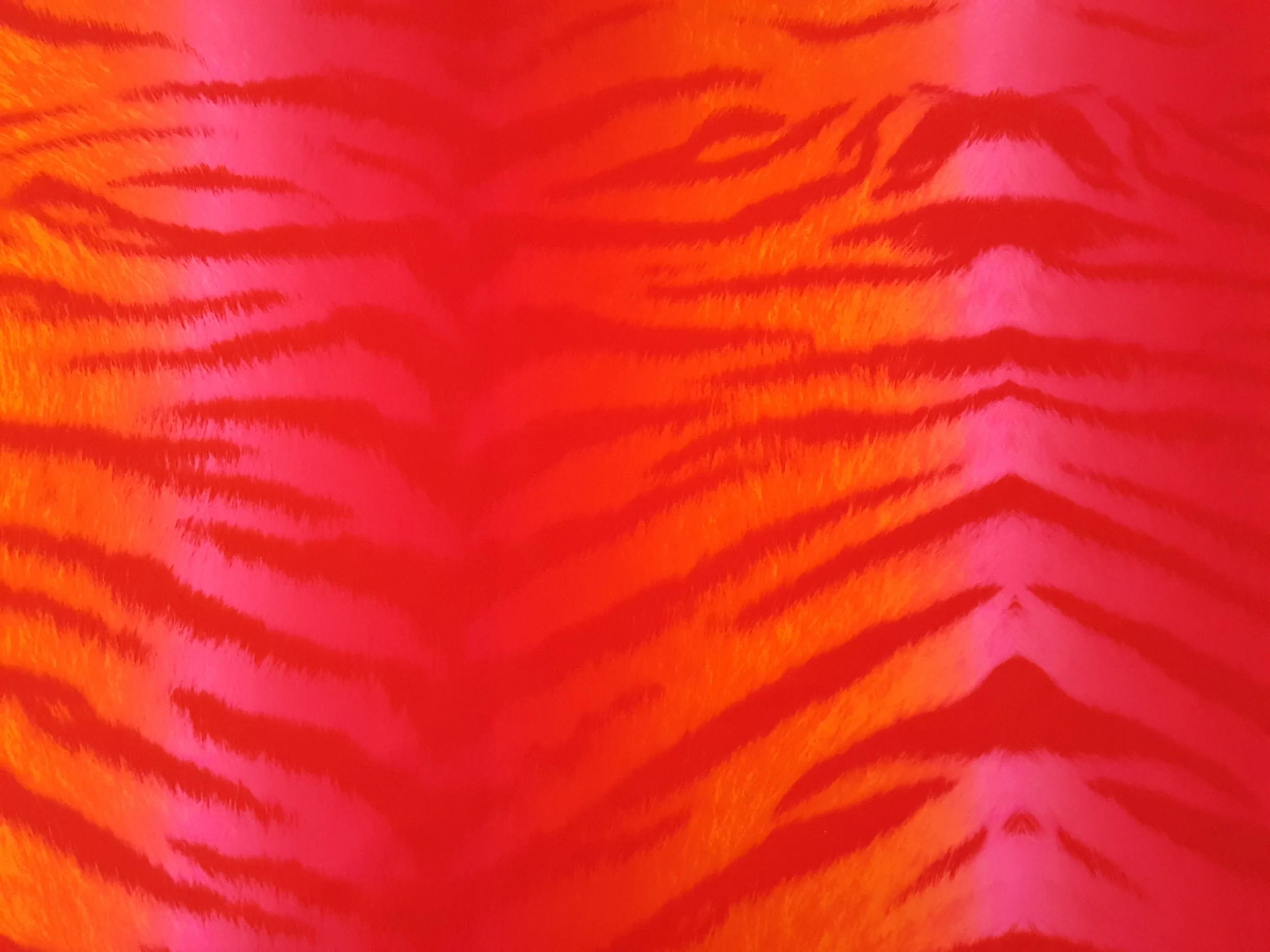20180814_143917.jpg
