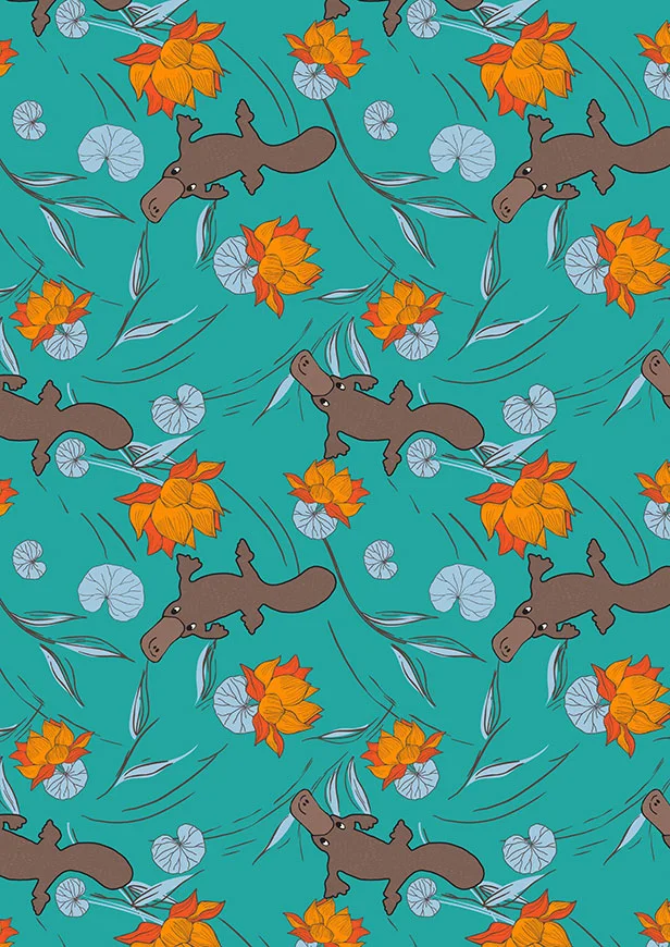 A-Monotremes-Marsupials-Amanda-Brandl8018.jpg