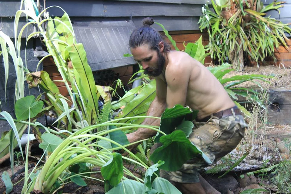Appropriate Plants for the Area