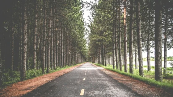 Clear path and call to action