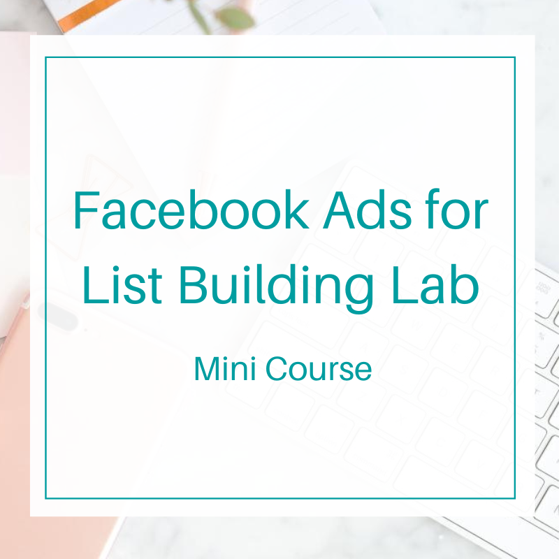 Facebook Ads for Email List Building Mini Course