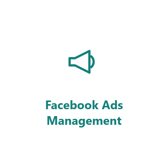 Facebook Ads Management