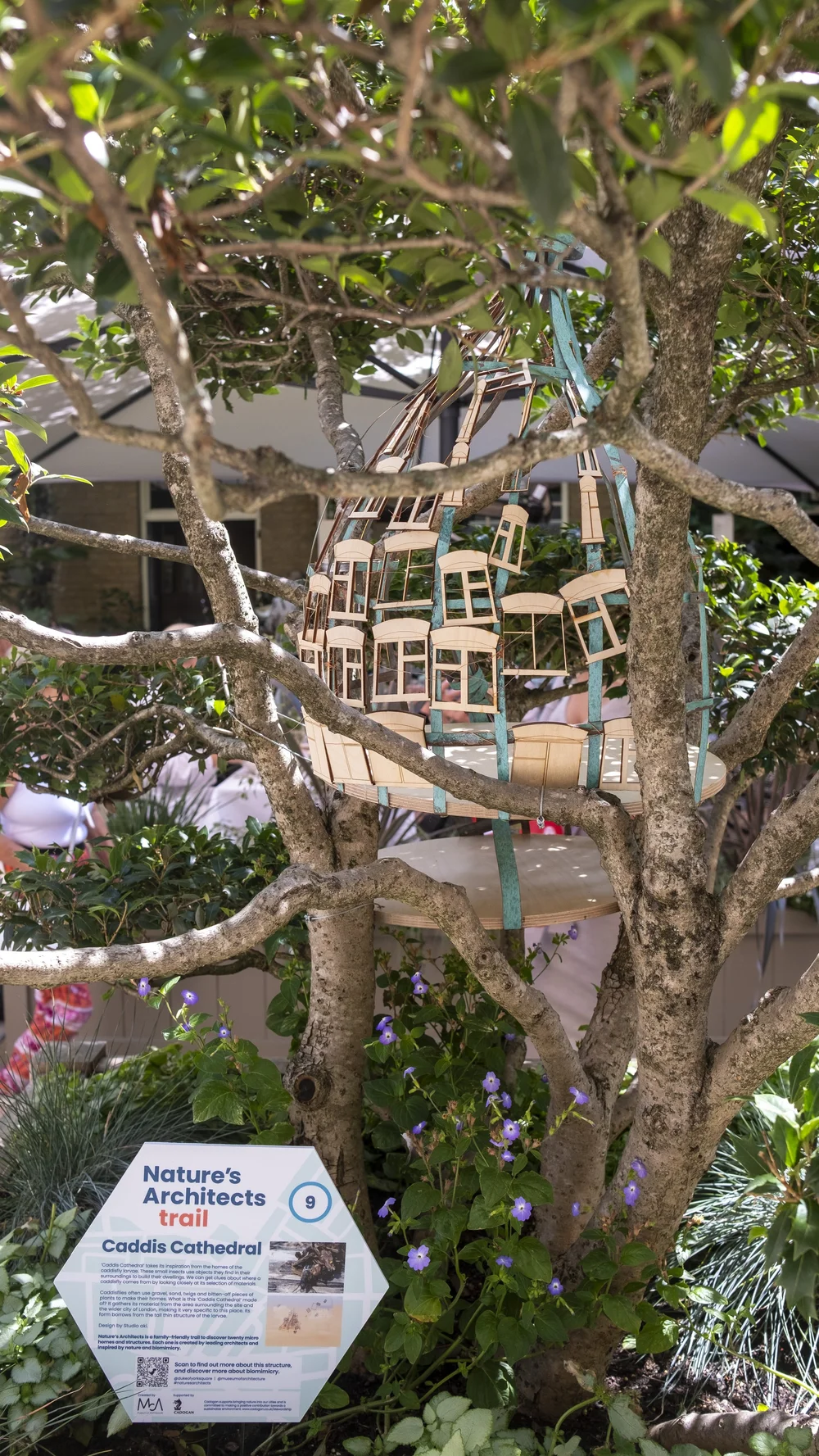 Nature's Architects - Caddis Cathedral — studio aki