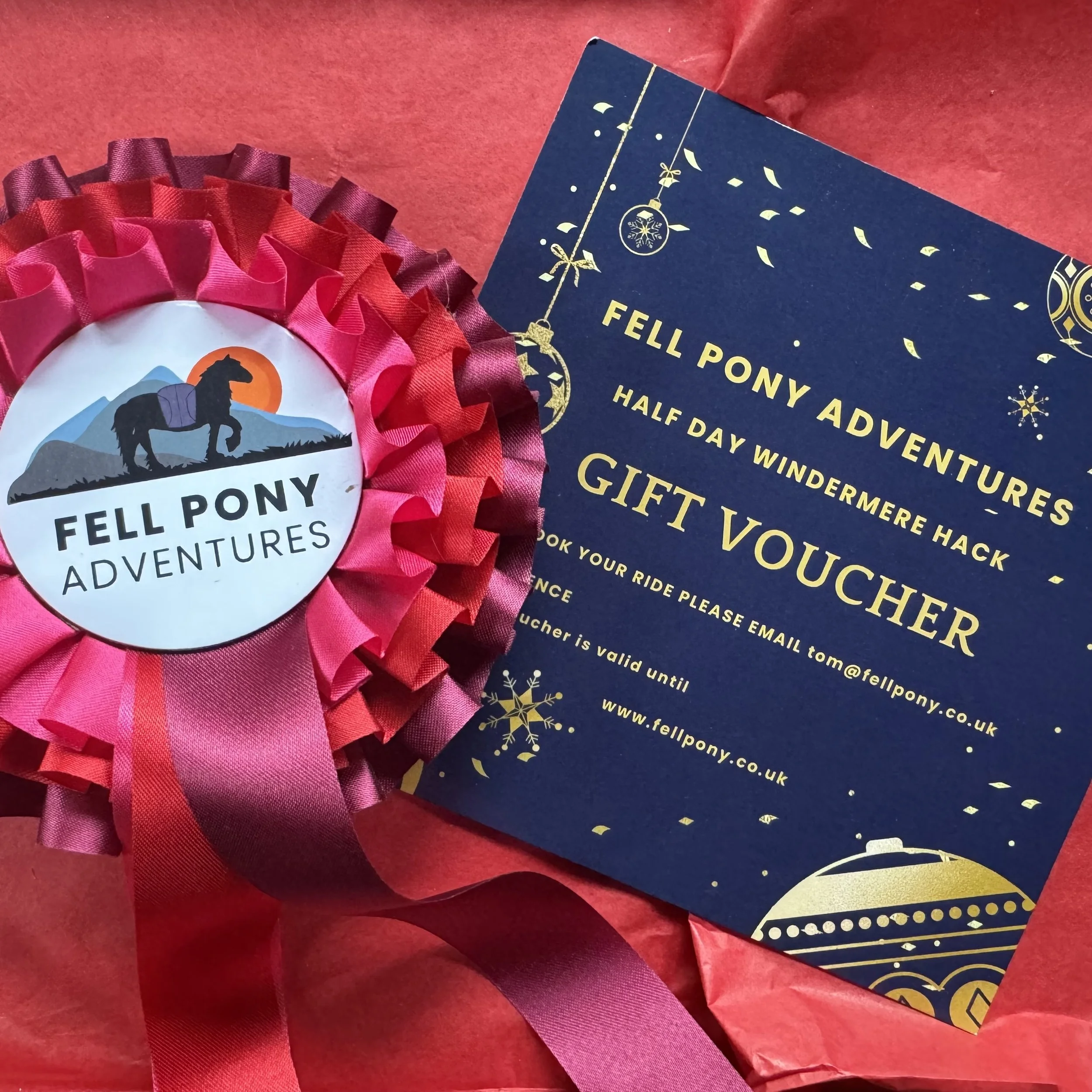 blue and rosette.jpg