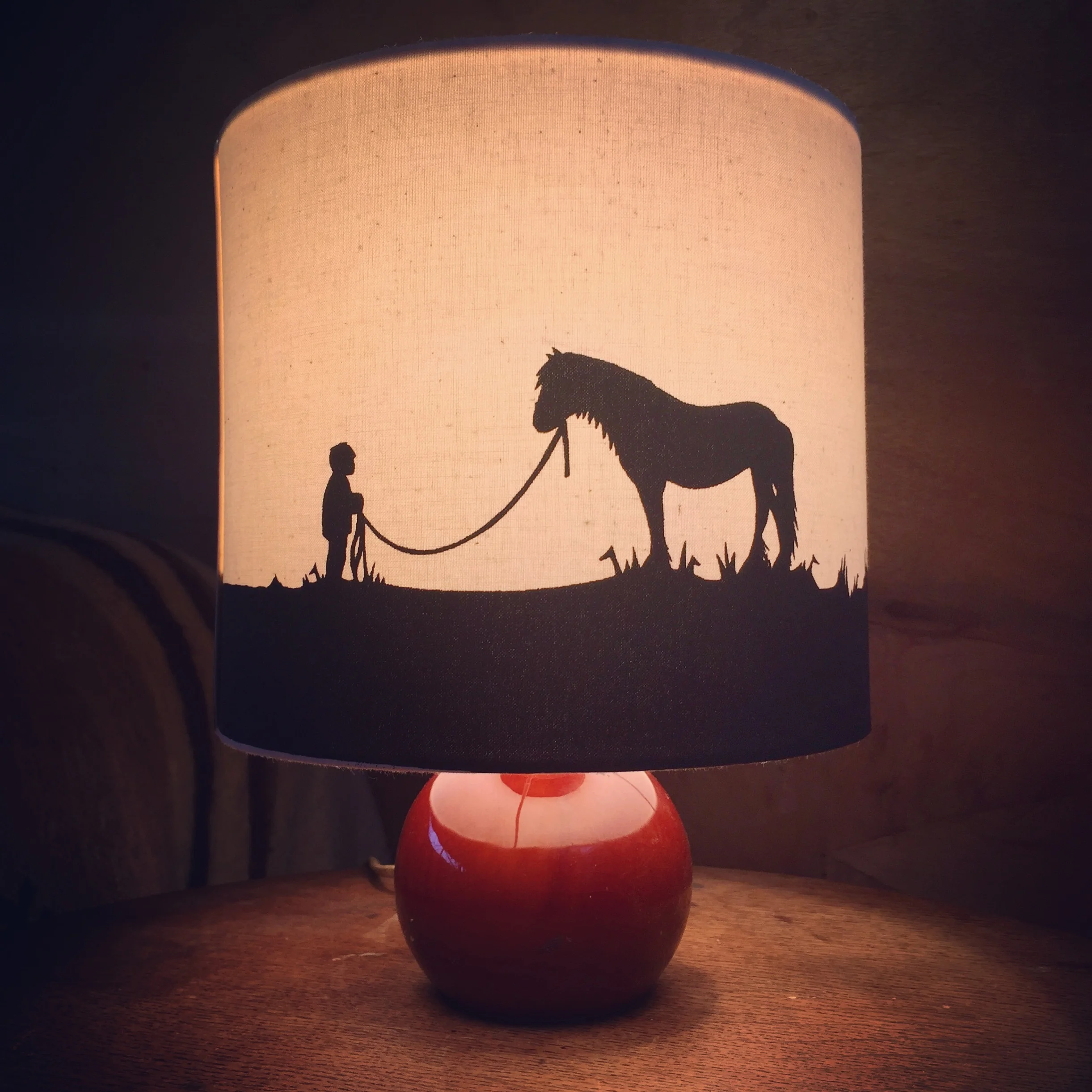 Fell_Pony_lampshade_boy.JPG