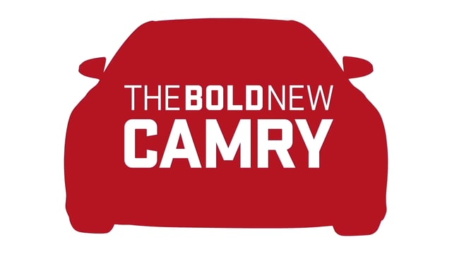 Camry - eCRM Case Study