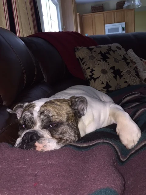 Napping.