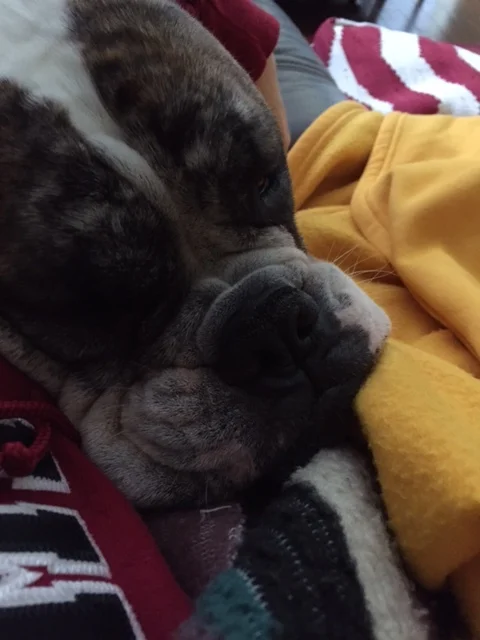 Napping!