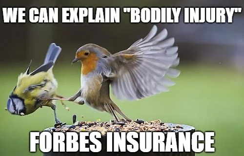 bodily injury.jpg