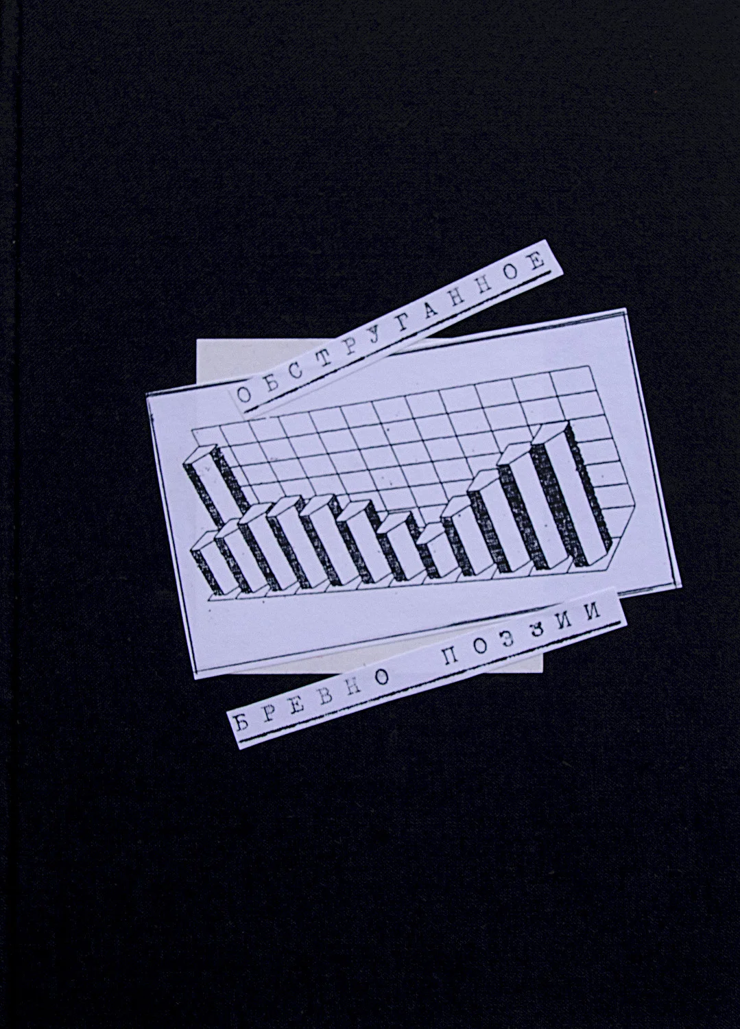 Обструганное бревно поэзии, Р ы Никонова, 2nd edition