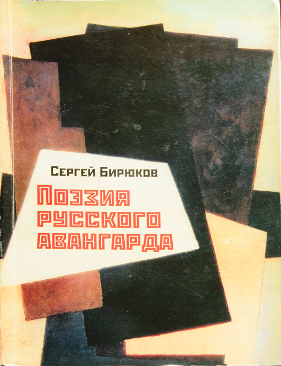 Поэзия русского авангарда : Сергей Бирюков