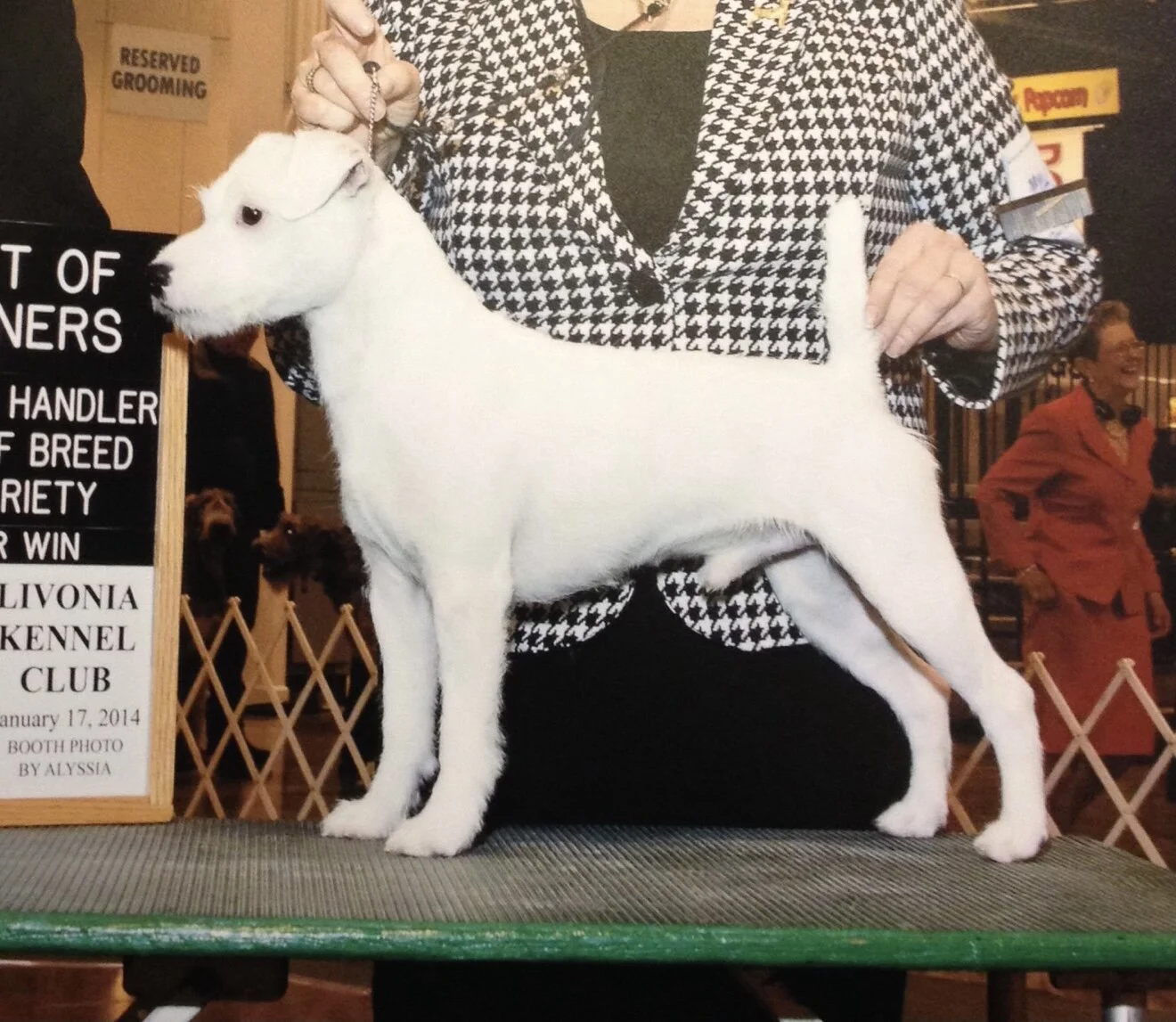 CH Cobblestones Chip Off The Old Block "Chip"