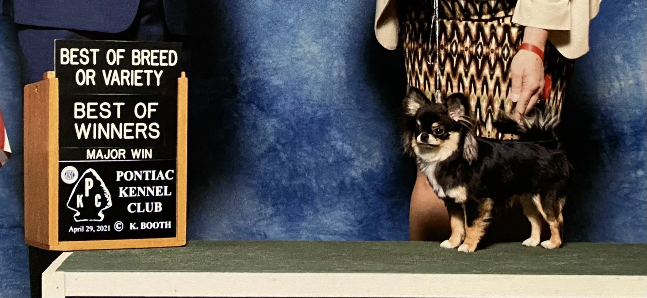 Cobblestones Ravin Raven “ Raven”