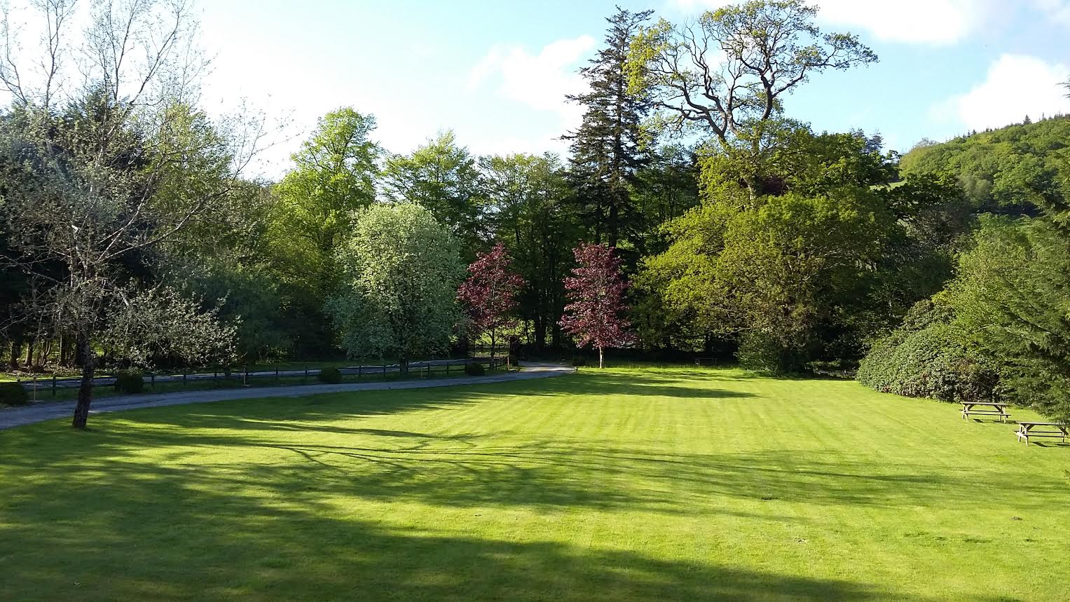 Glangwili Mansion - View of the garden from all our guest rooms.