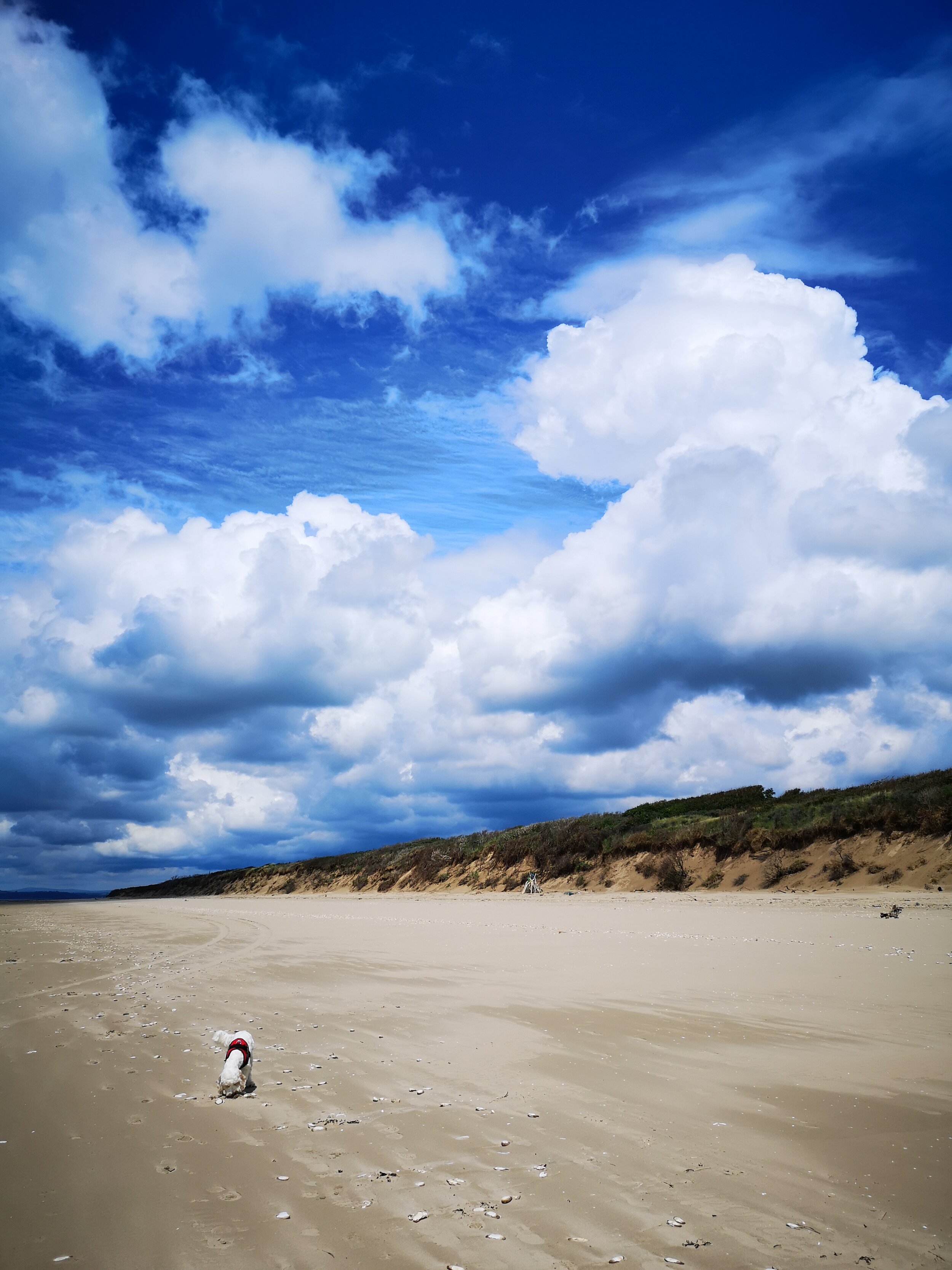 Cefn Sidan Beach - 45 mins from Glangwili Mansion