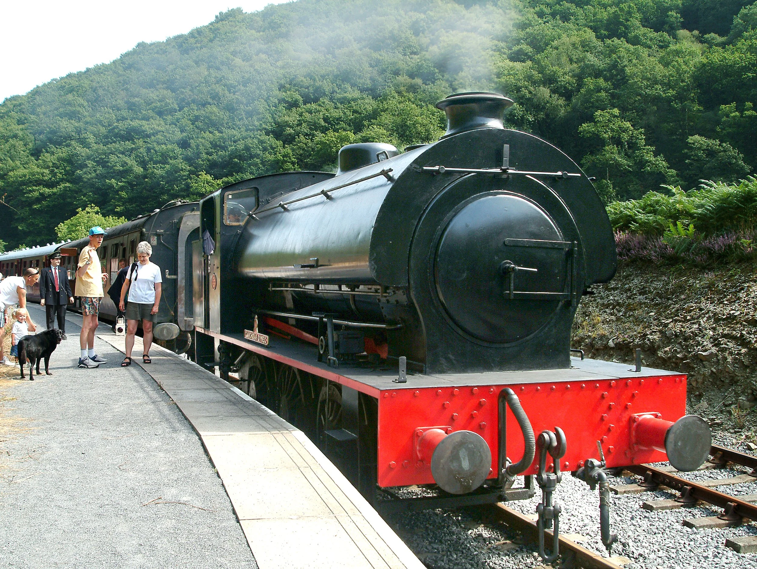 The Gwili Steam Railway
