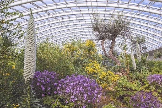 The National Botanic Gardens of Wales