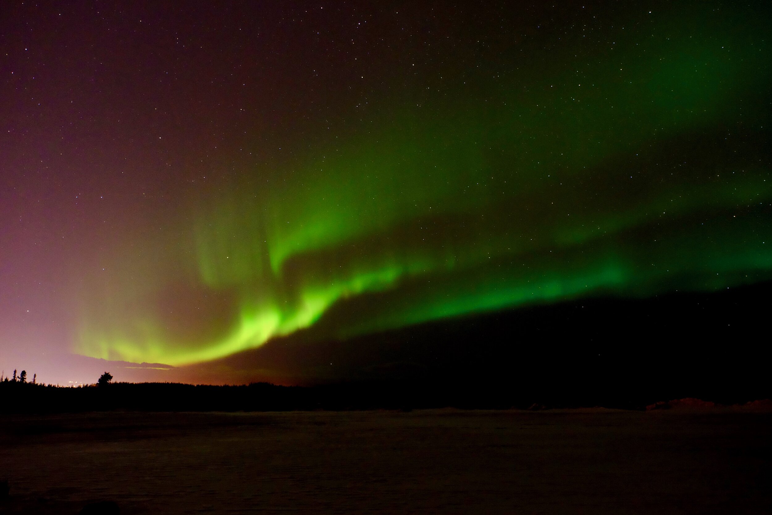 Whitehorse