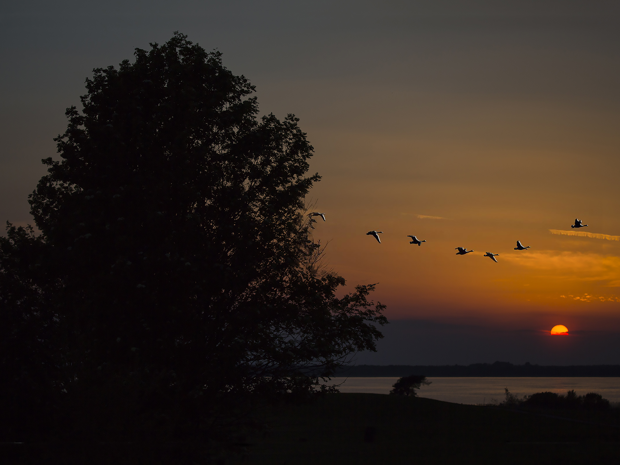   Solnedgang ved&nbsp;    Hornborgasjön  