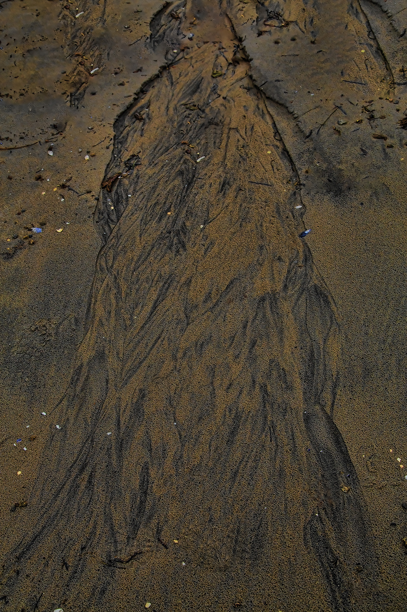   Mønster i sand.  