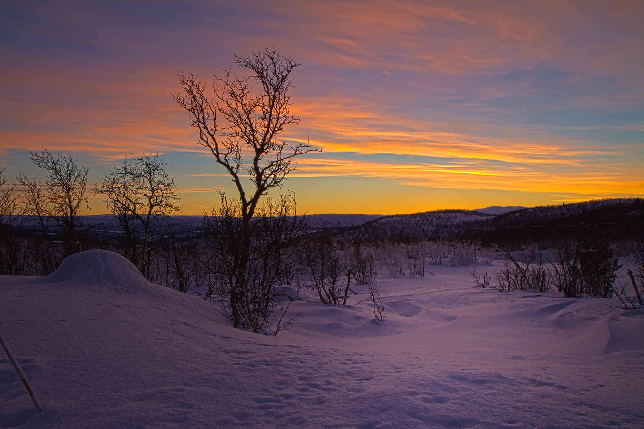   Kikut.    Geilo.  