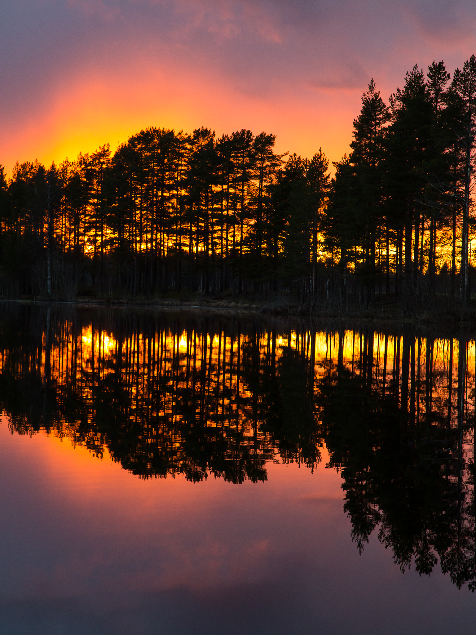   Glødene solnedgang    Finnskogen, Elverum  
