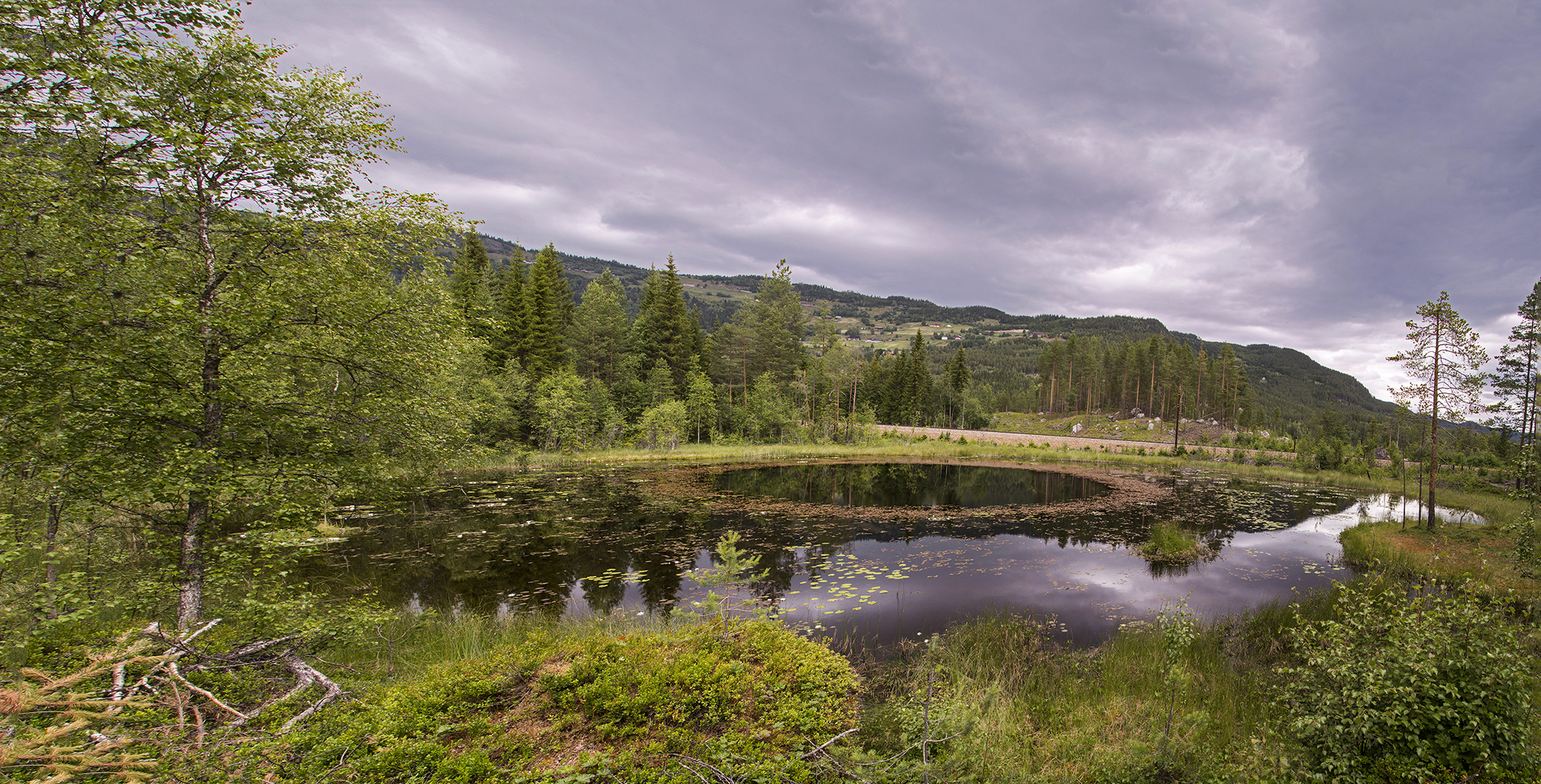     Suletjern&nbsp;        Hallingdal    