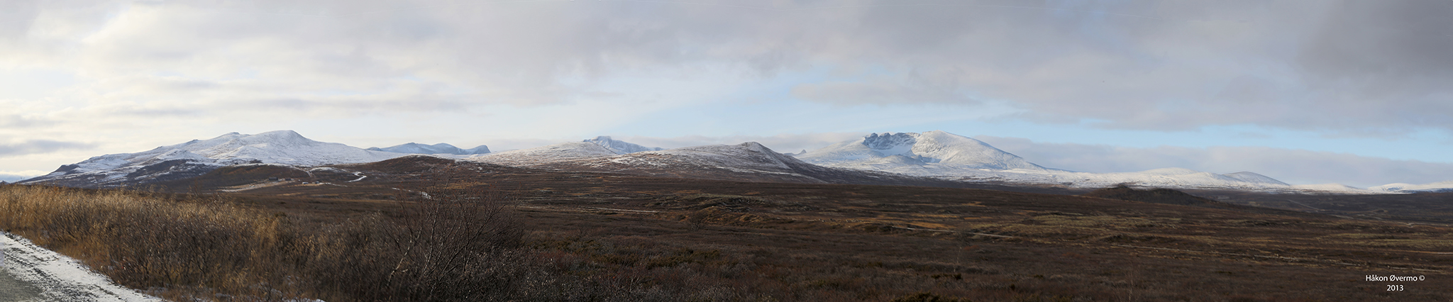   Panorama fra Dovrefjell nasjonalpark, vi ser Snøhetta som det høyeste fjellet 2286 moh.  