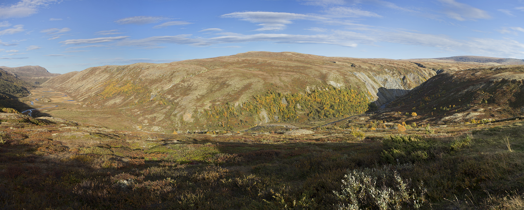   Tverrgjelet, Grimsdalsmyrene natur-reservat.    Grimsdalen, Rondane.    2016  