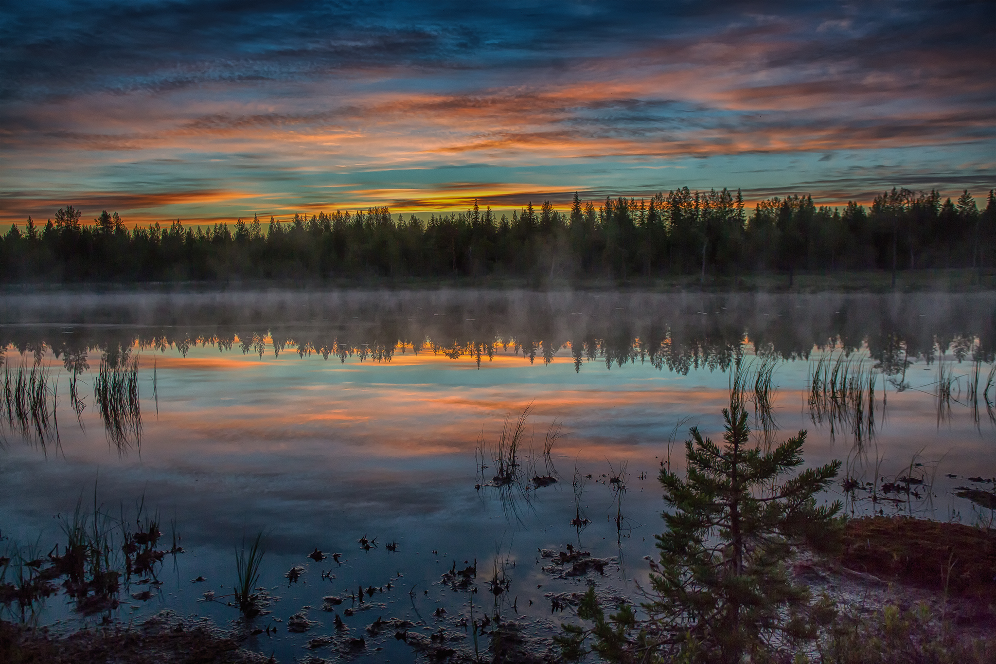   Fra de dype Finske skoger, akkurat ferdig med å fotografere ville Bjørner. På natten ble lyset magisk.&nbsp;    Martinselkosen 2016  
