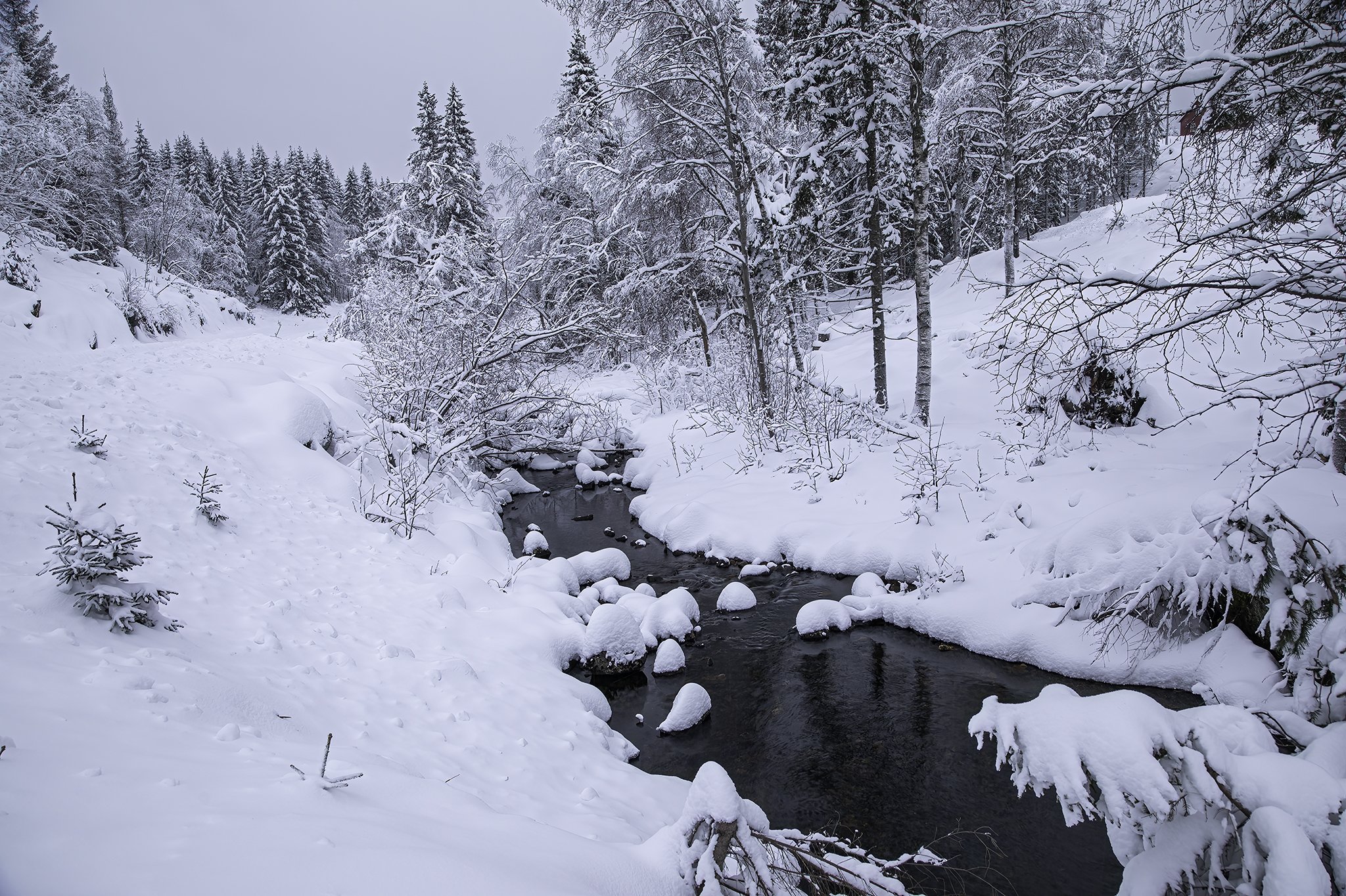 Winter in Finnemarka 1