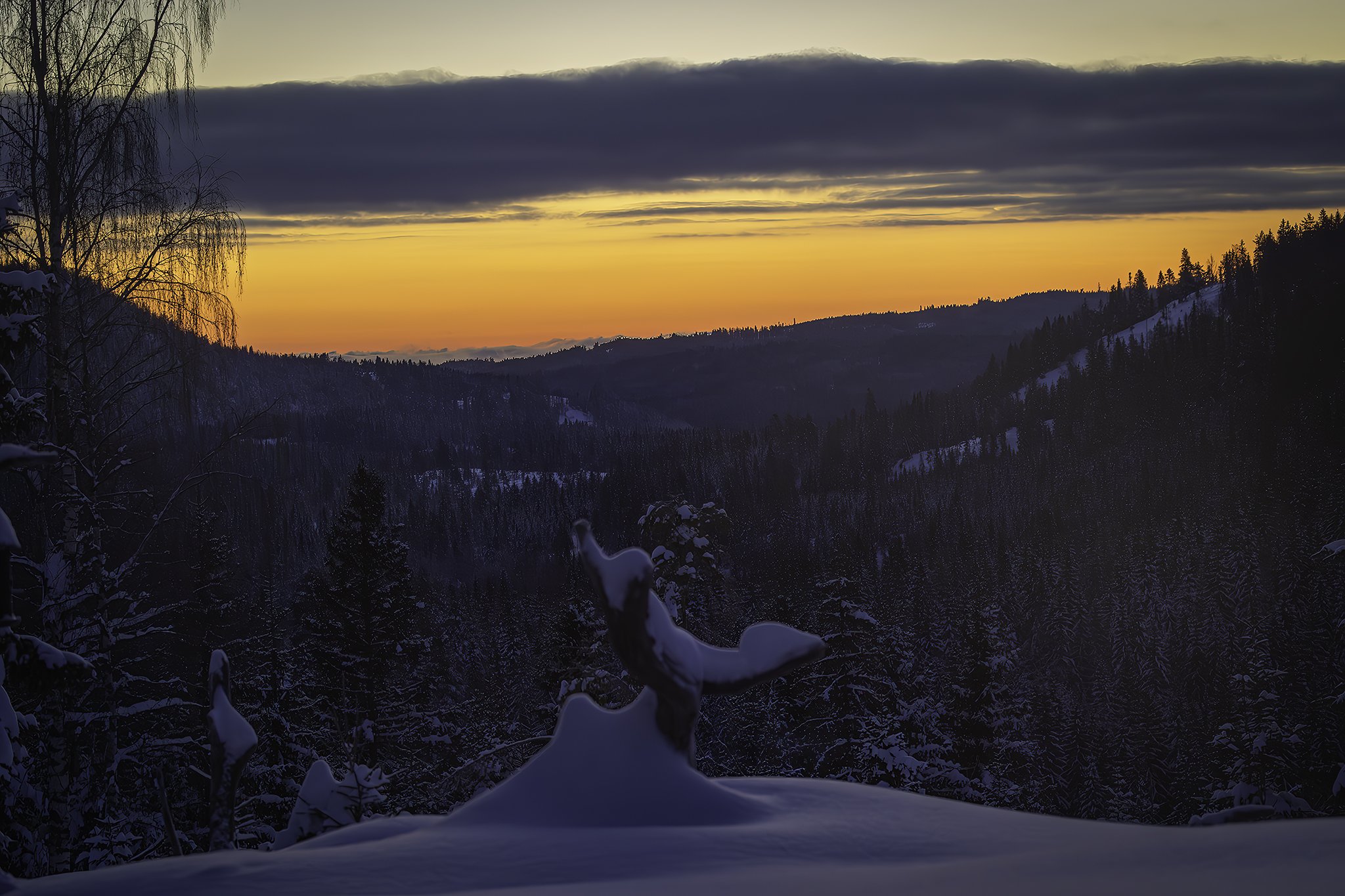 Early morning in the eagle's kingdom, Finnemarka.