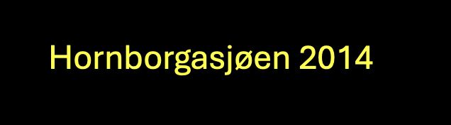 Skjermbilde 2025-06-21 kl. 21.03.16.png