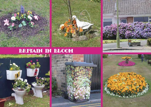 G10-Britain-in-Bloom.jpg