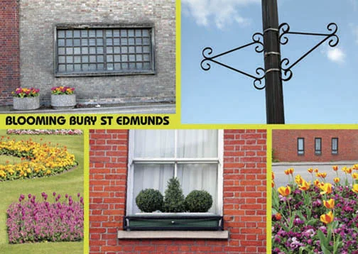 EA11 Blooming Bury St Edmunds.jpg