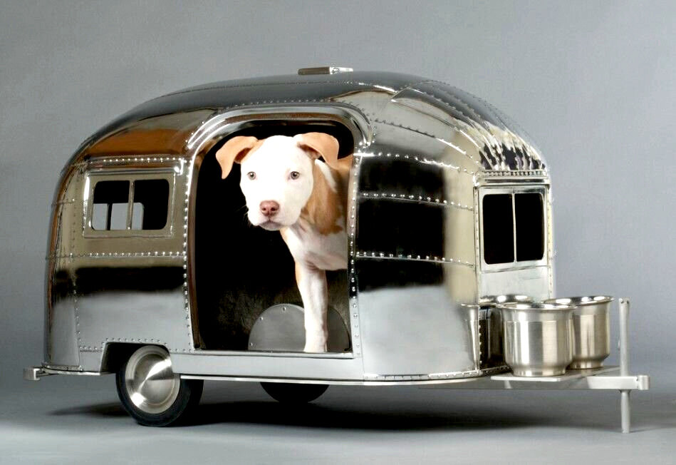 Dawn-Treader Airstream Dog Fee:  Cair Paravel Farm and Lodging