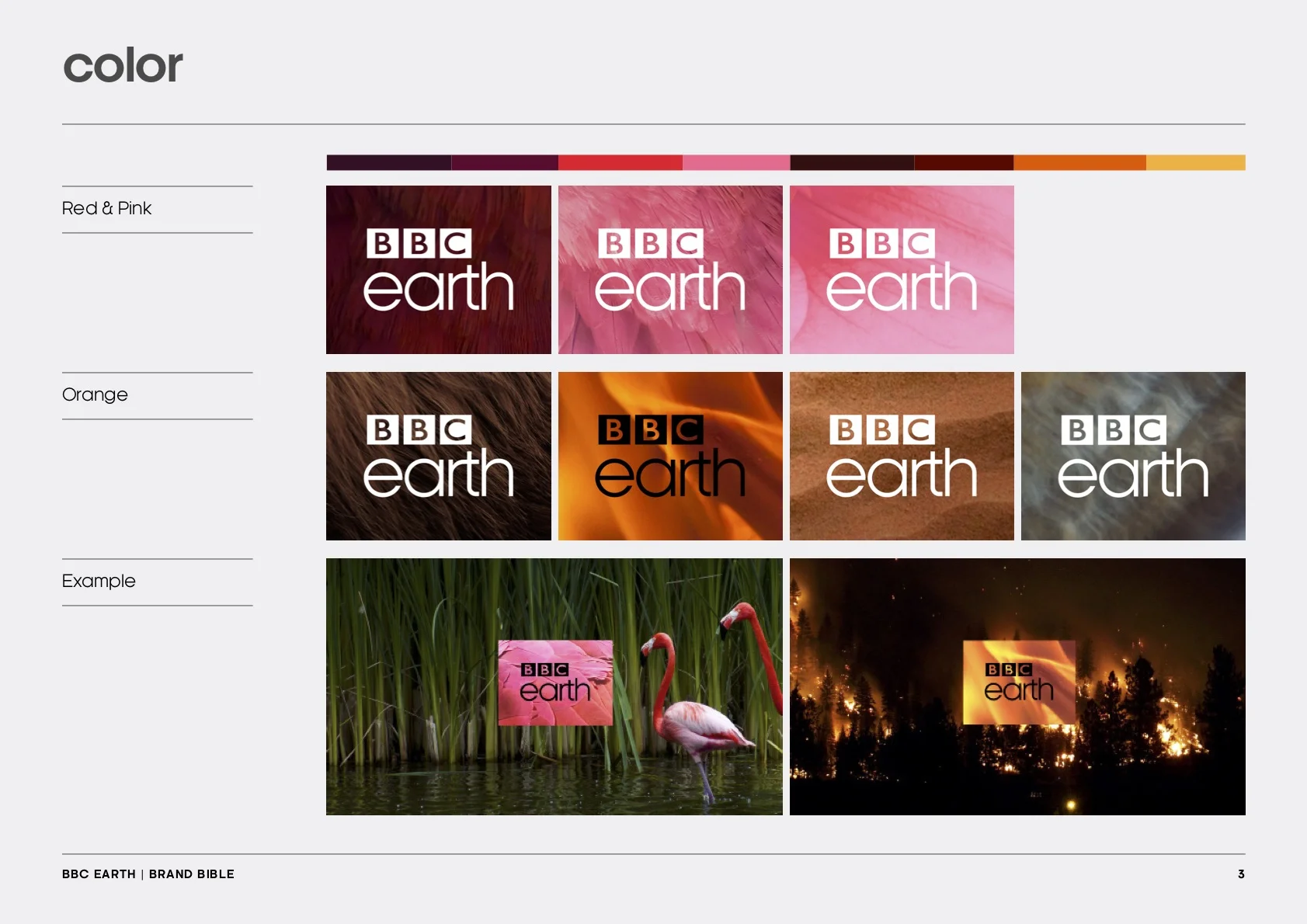 Bbc Earth Peter Alfano