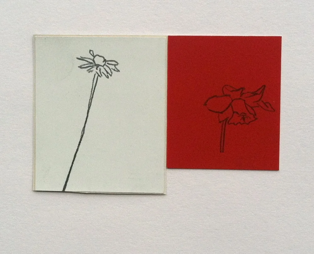 tall stem and wilted dafodil.jpg