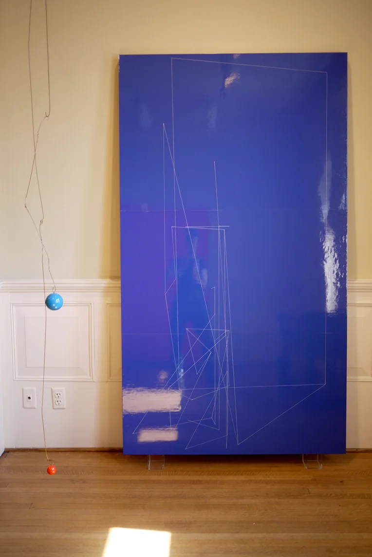 Kate Shepherd_2010, phillips Collection, Washington D.C., installation.jpg