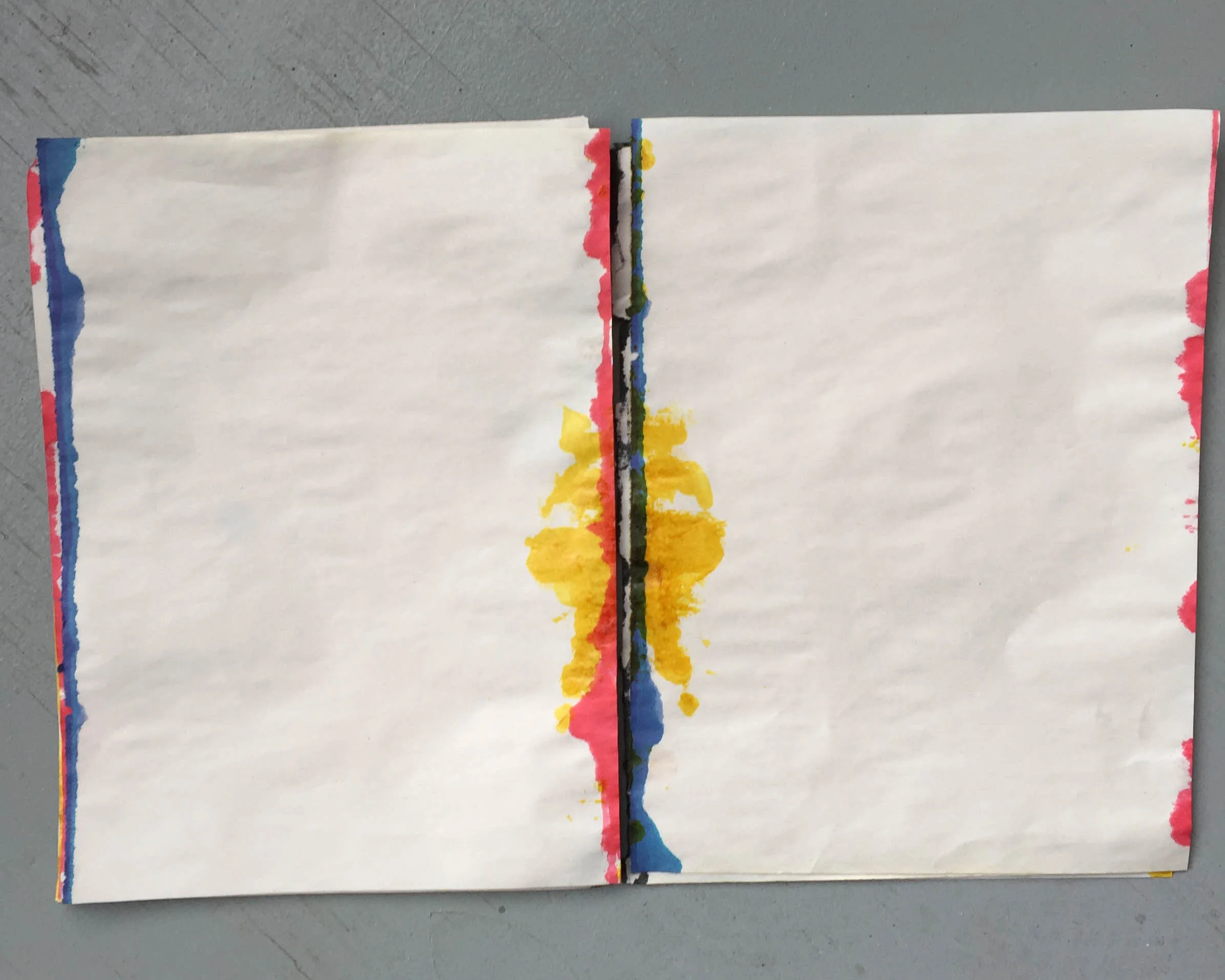 Kate Shepherd, 2017, bleed book_IMG_1050.jpg