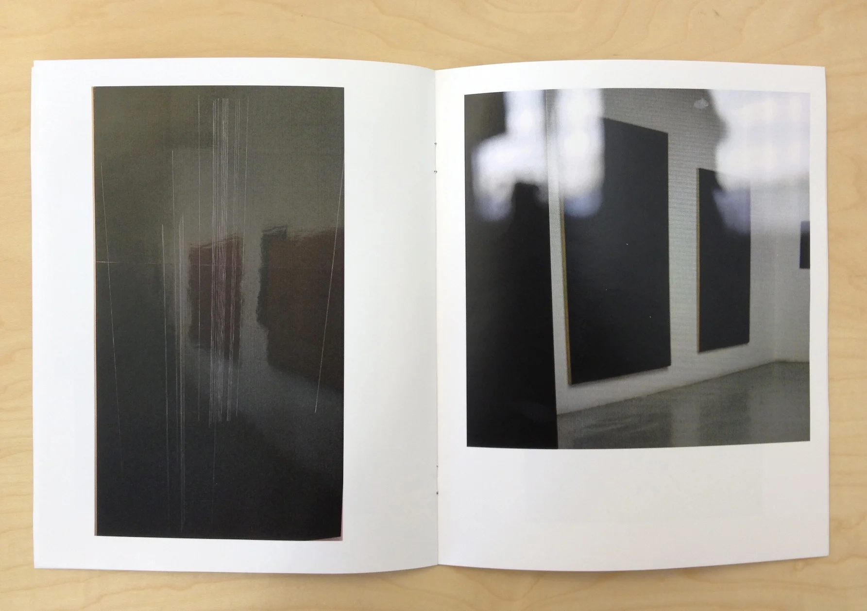 Reflection Book, 2013 Blonde Art Books