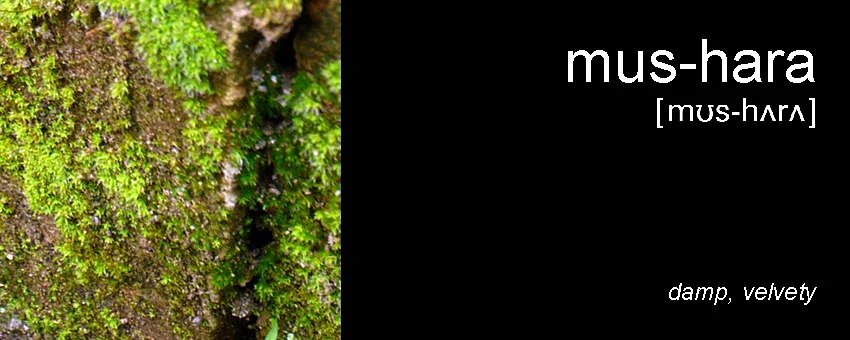 003MUS-HARA_book.jpg