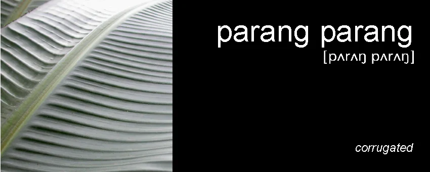 021parangparang_book.jpg