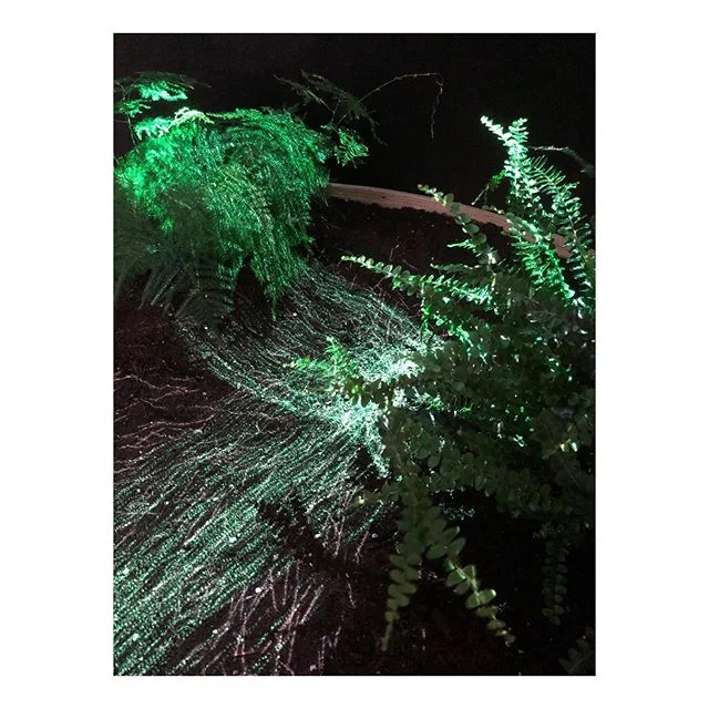 Huge congratulations and very proud of our students who have completed the first year of the Masters in Design for Emergent Futures 🙏🌱🌏🌍🌎🤖👽 An exploratory journey to comprehend and critique the role of Technologies, Digital Fabrication, The Blockchain, Synthetic Biology and Artificial Intelligence among others and in relation to the challenges we are currently facing in society and environment..🙏thank you! @iaacbcn @fablabbcn @tomasdiez Oscar Tomico @silvia_bra Mette Bak-Andersen, Jon Minchin @chiara.dallolio AND ALL the incredible people across all the various disciplines and departments that has made this such a unique and important Masters AND thank you to the students for taking a leap of faith! 🙏 #mdef #design #environment #community #ecology #science #art #sustainability #love #material #nature #economy #rethinking #society #biology #future #making #ai #robotics #climatechange #connection #technology #blockchain #science #digital #fabrication #communication #exhibition