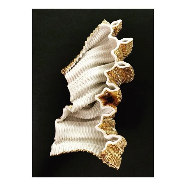 Putting together a few experiments for an exhibition @tatestives opening next weekend 🙏🌱#exhibition #art #science #biology #mathematics #making #technology #craft #robotics #handmade #ceramics #porcelain #gold #materials #experiment #digital #tate #architecture #future #design #nature #biomorphic #creations #wip #process #fabrication