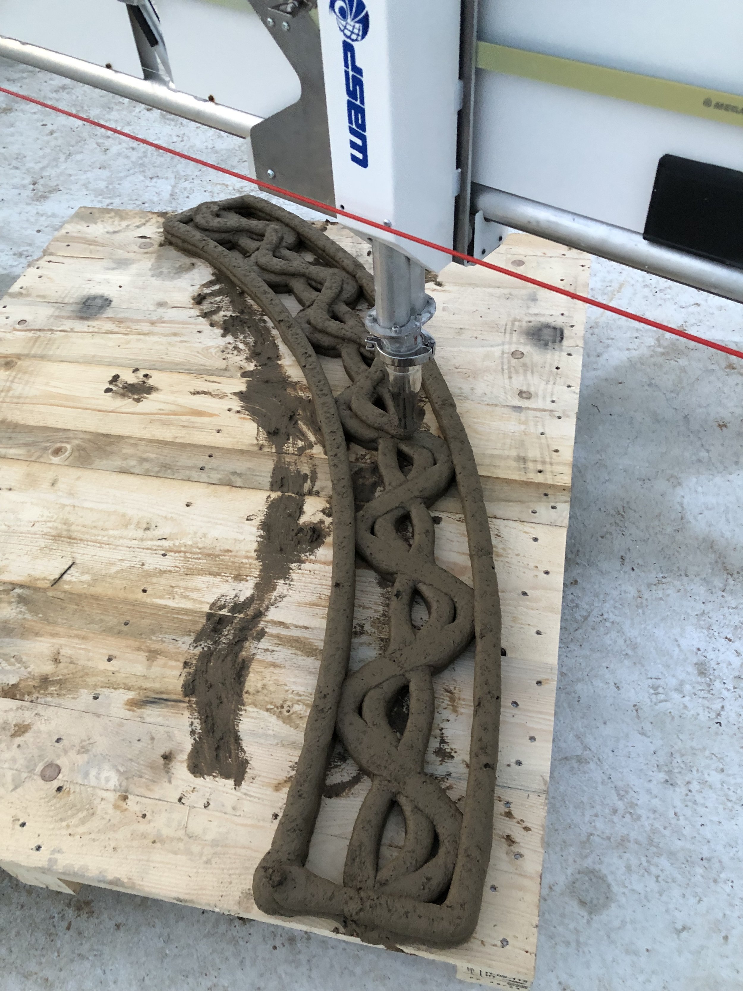 WASP CRANE PRINT 1.jpg