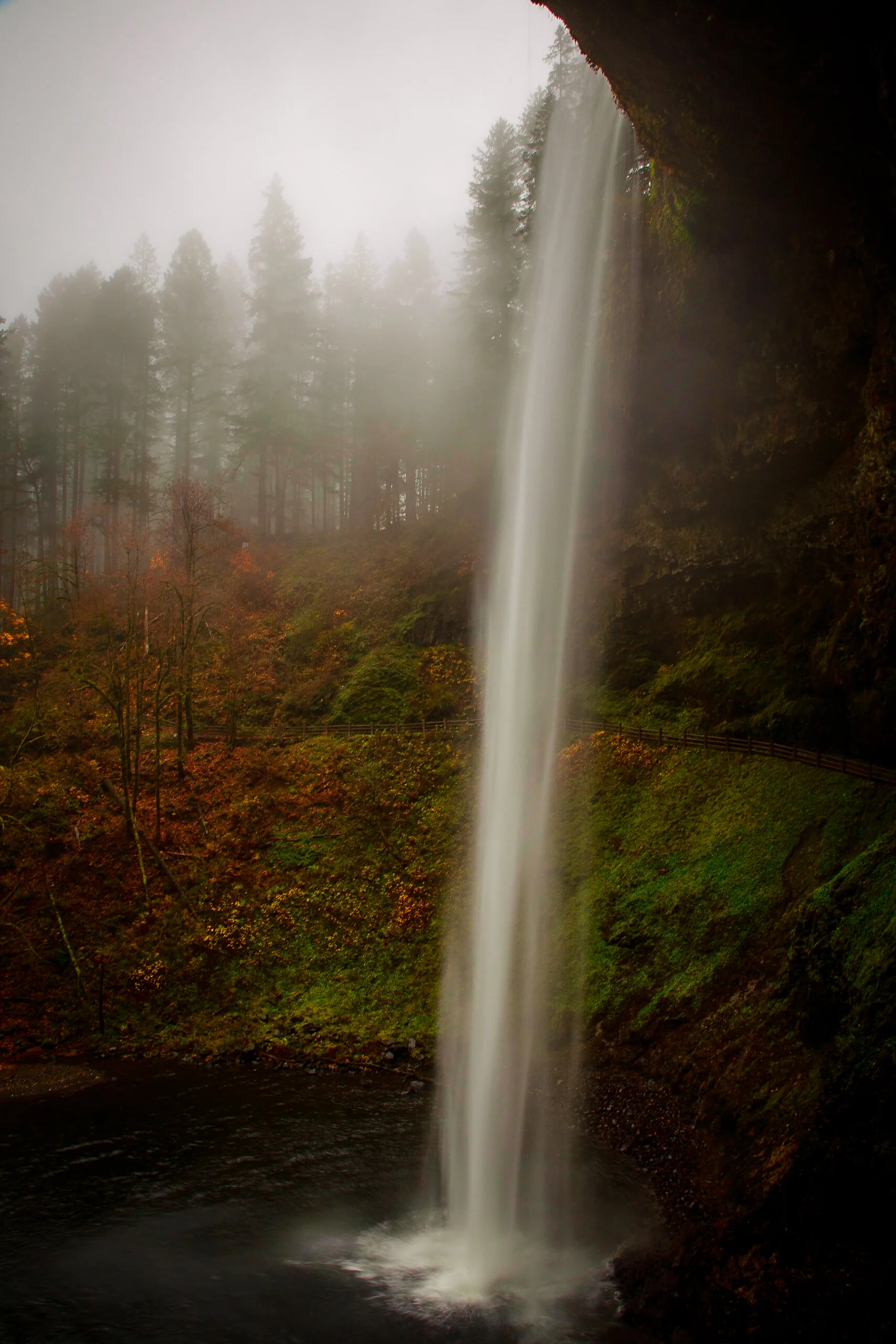 Silver Falls Fog
