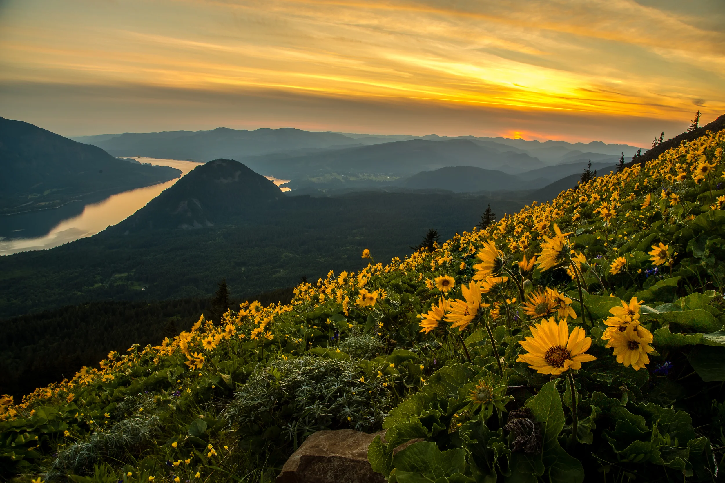 Dog Mountain Sunset
