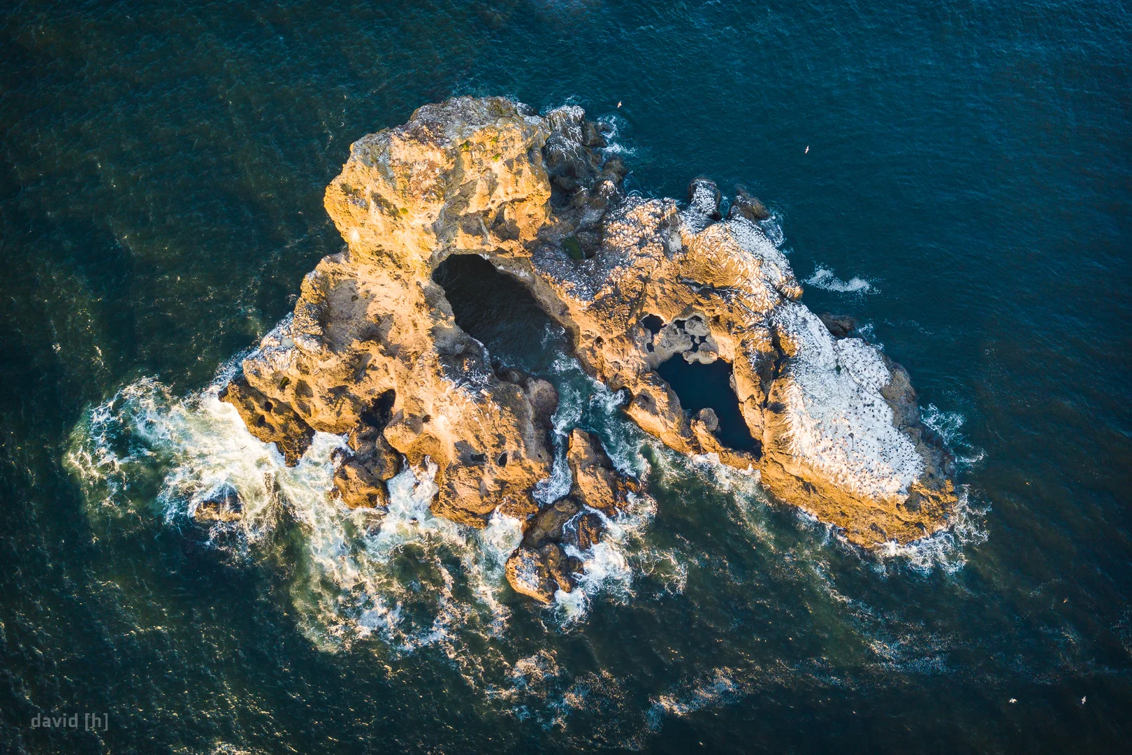 A rock formation in front of the coast at Ecola State Park - complete with seagull colony and tunnel!
